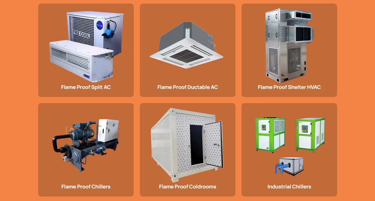 Frizcool India case study