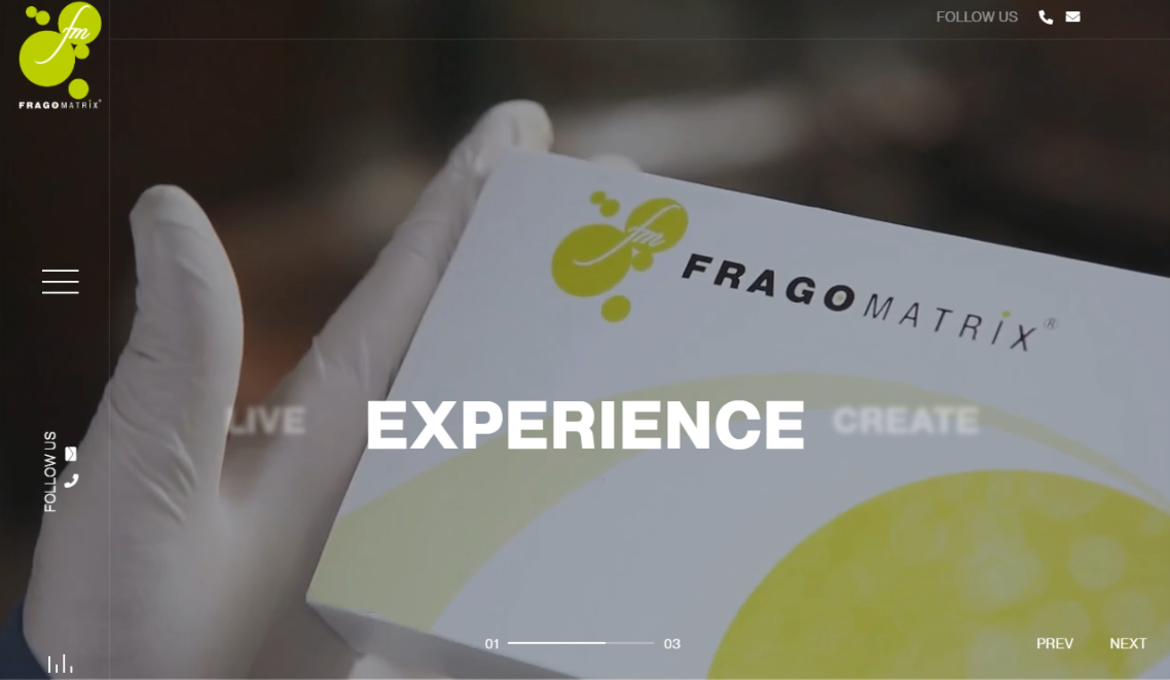 Digital marketing portfolio project